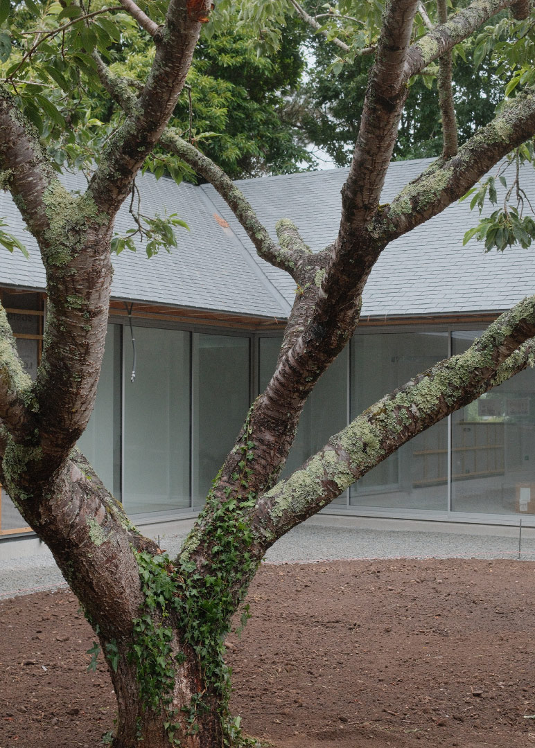 Maison bois de plain-pied à Baden par l'atelier d'architectes Rupin Conq