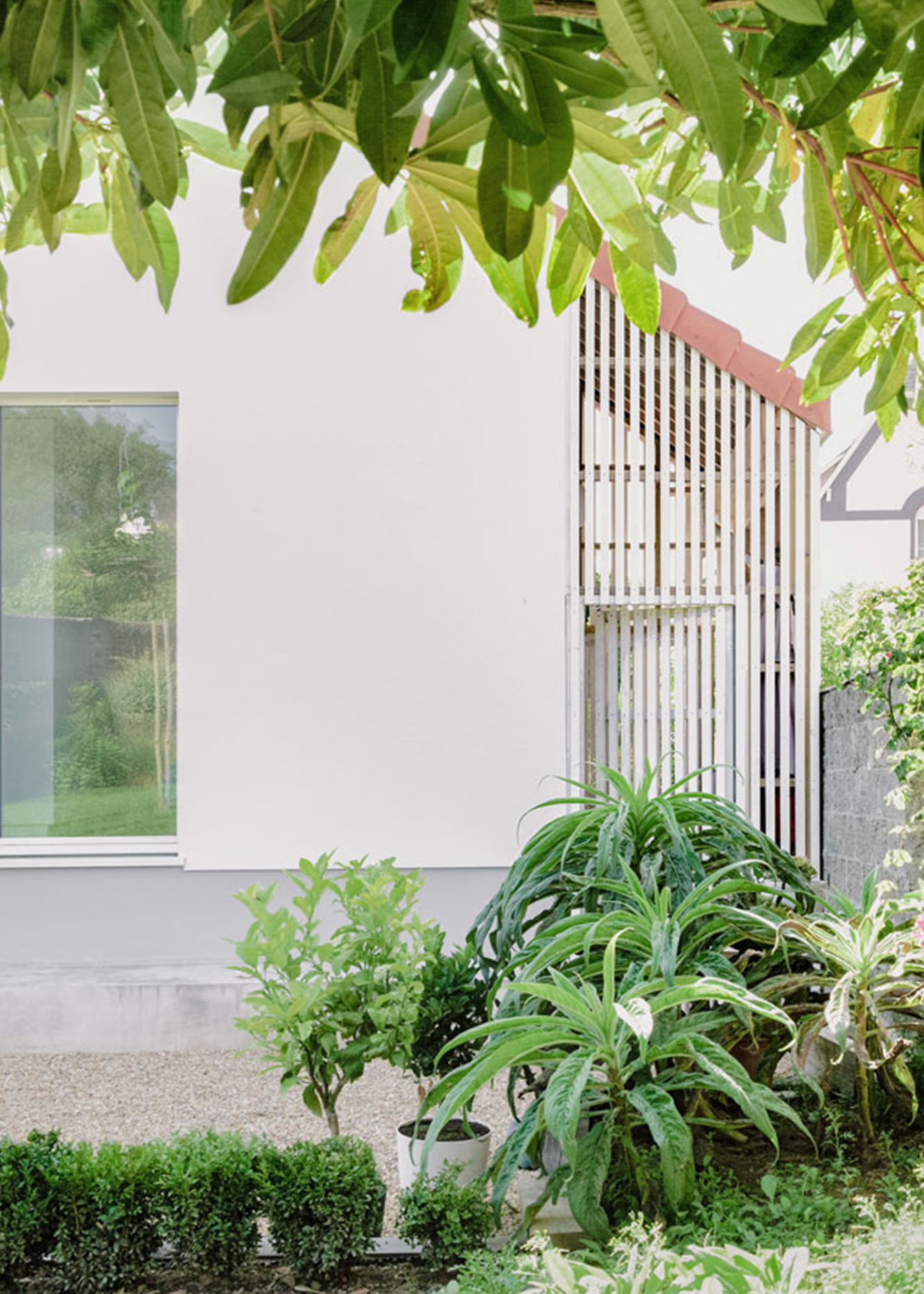 Vignette projet